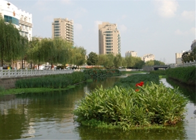 河道景观